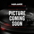 Madlandz Seven-Twenty™ Vinyl Record Stabilizer – 720g